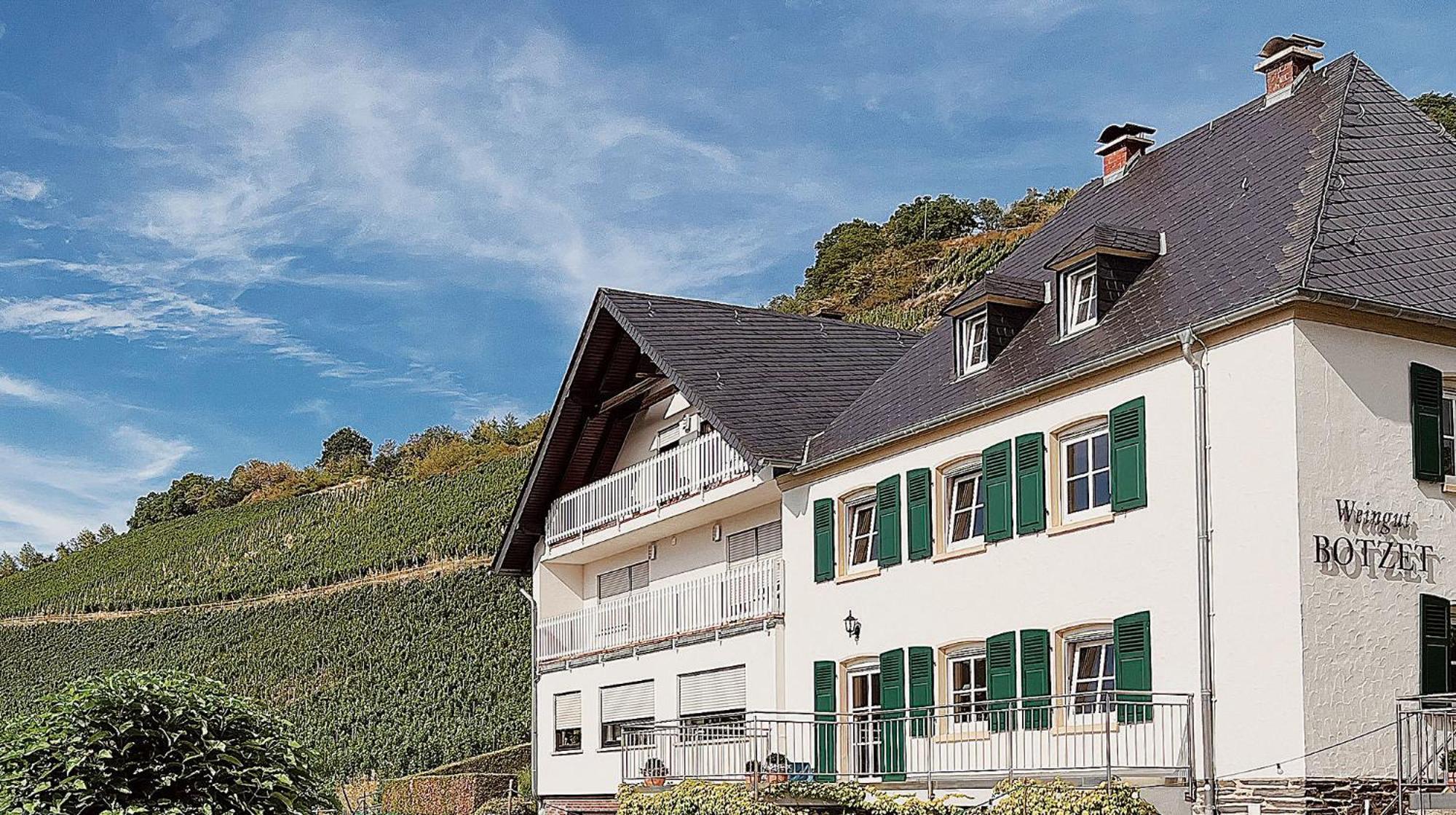 Pension 1595 Im Weingut Botzet Maring-Noviand Exterior foto